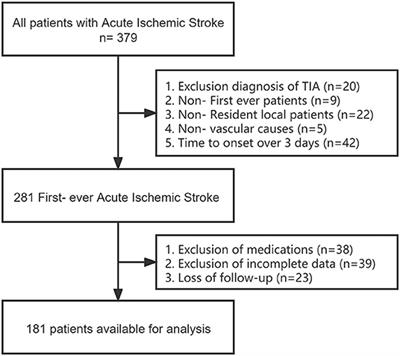 Anterior Circulation Acute Ischemic Stroke in the Plateau of China: Risk Factors and Clinical Characteristics